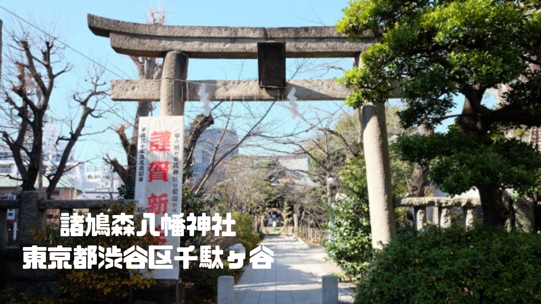 鳩森八幡神社｜東京都渋谷区千駄ヶ谷｜日本【金運スポット】
