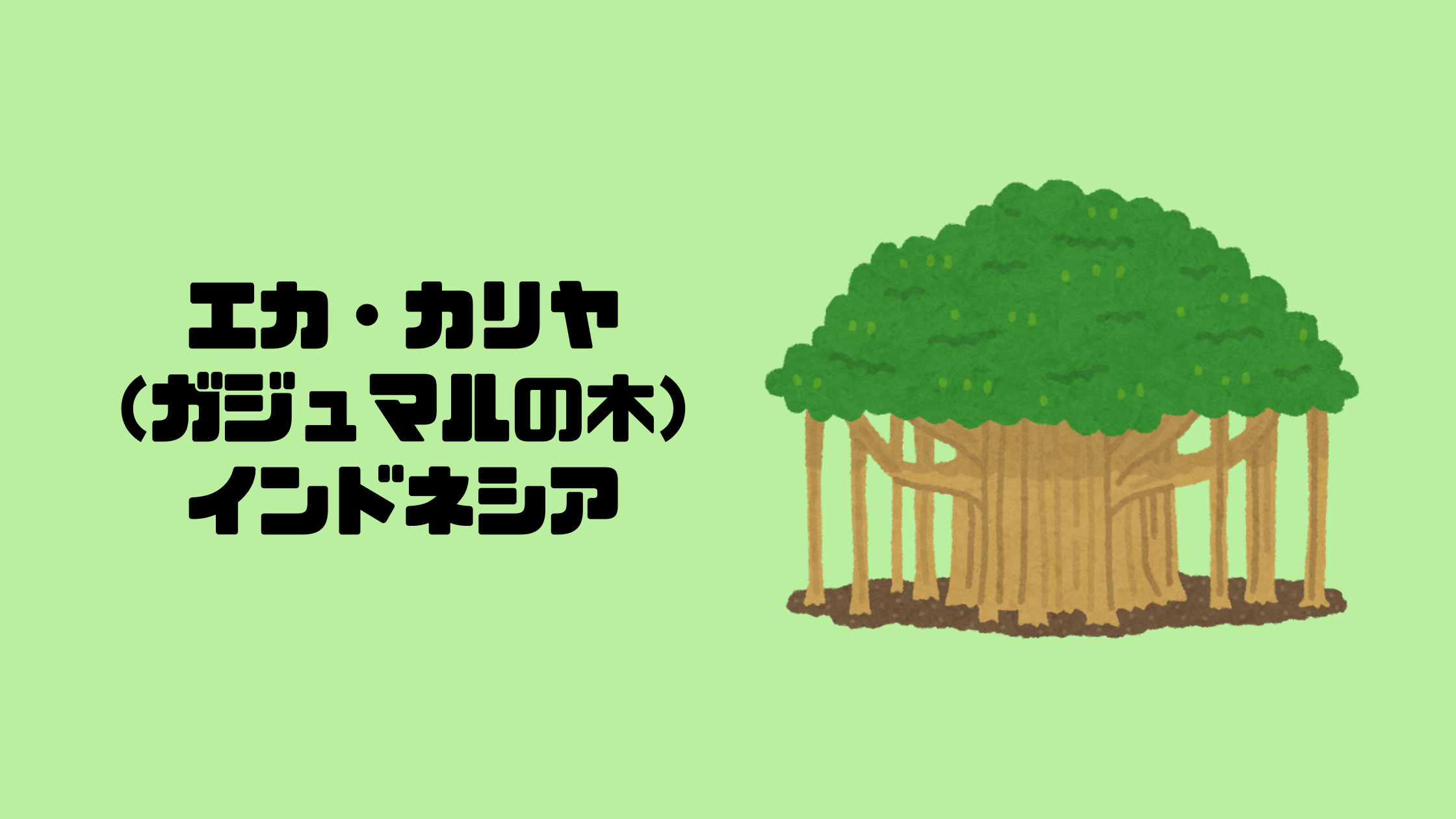エカ・カリヤ（ガジュマルの木）｜バリ島｜インドネシア【金運スポット】