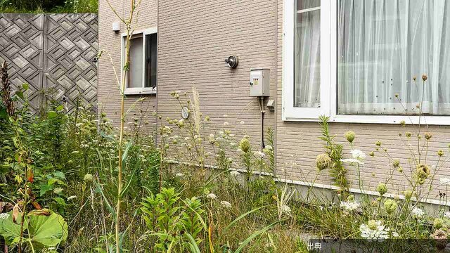 [衝撃] 貯蓄1700万円の夫婦も地方移住で破綻