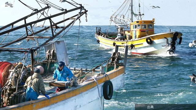 [衝撃] 日本は獲れた魚を大量に捨てる国？