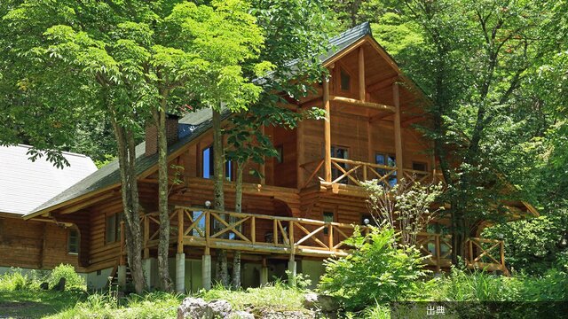 [衝撃] 軽井沢の別荘にカメムシが大量発生