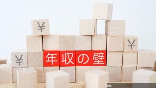 [緋急]妻の年収を24万増やしても世帯の手取りが減ってしまう理由