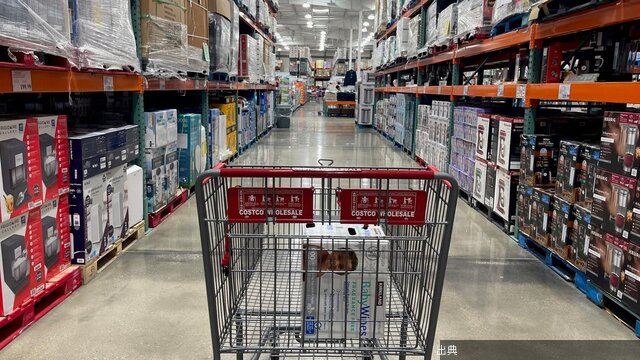 [緋急]コストコを使って毎月数万円を節約してきたマニアが明かす、3つの節約のコツになる模様