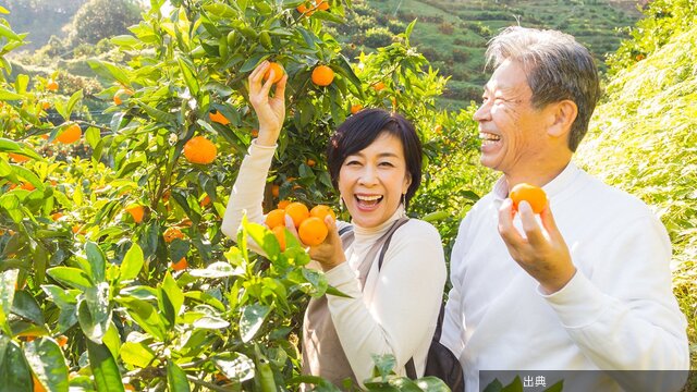 [衝撃]50代から「人生を楽しめる人」が捨てる“価値観”とは？ - ニュースな本が話題に